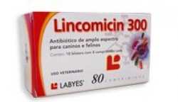 Lincomicin 300